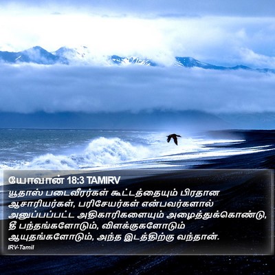 யோவான் 18:3 TAMIRV Bible Verse Image