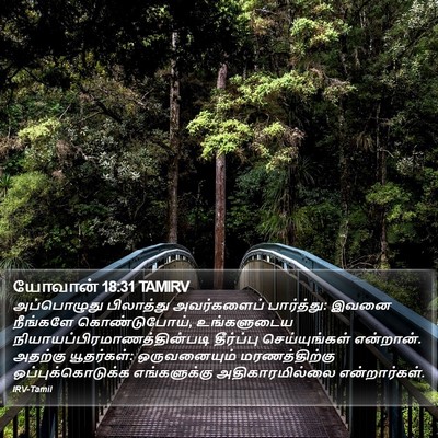 யோவான் 18:31 TAMIRV Bible Verse Image
