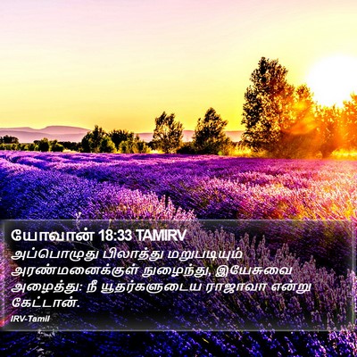 யோவான் 18:33 TAMIRV Bible Verse Image