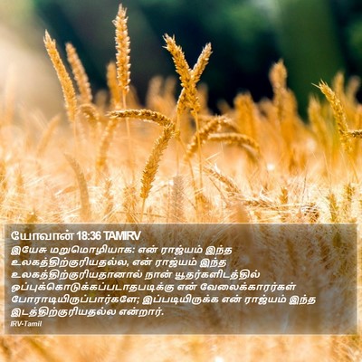 யோவான் 18:36 TAMIRV Bible Verse Image