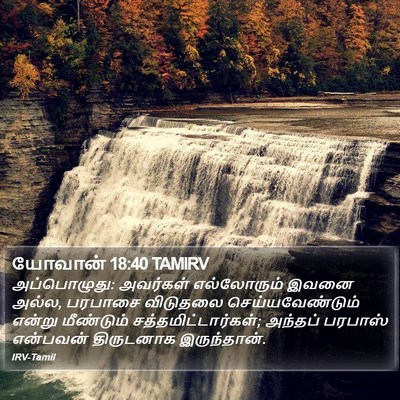 யோவான் 18:40 TAMIRV Bible Verse Image