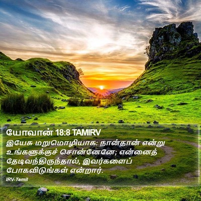 யோவான் 18:8 TAMIRV Bible Verse Image