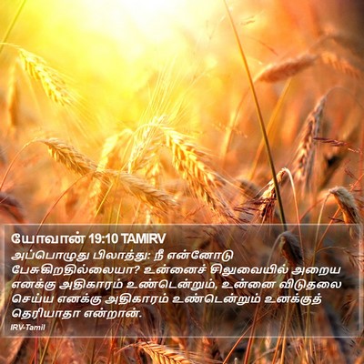 யோவான் 19:10 TAMIRV Bible Verse Image