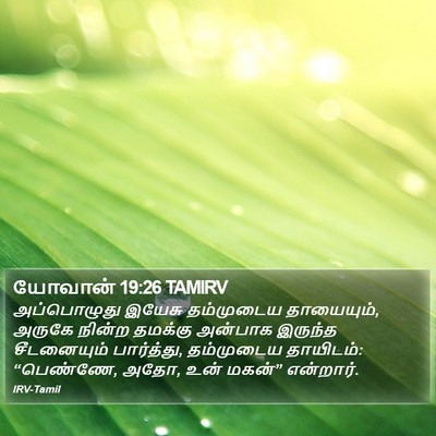 யோவான் 19:26 TAMIRV Bible Verse Image