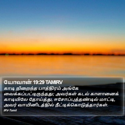யோவான் 19:29 TAMIRV Bible Verse Image