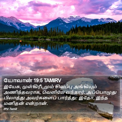 யோவான் 19:5 TAMIRV Bible Verse Image