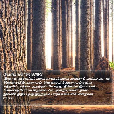 யோவான் 19:6 TAMIRV Bible Verse Image