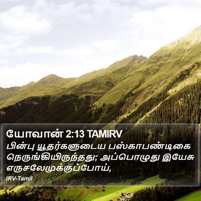 யோவான் 2:13 TAMIRV Bible Verse Image