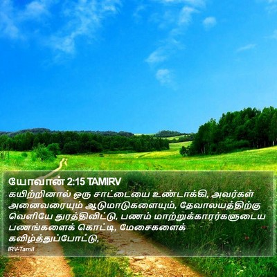 யோவான் 2:15 TAMIRV Bible Verse Image