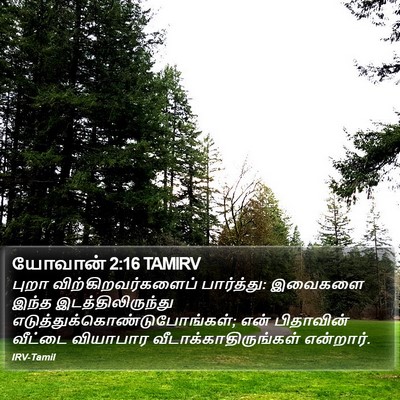 யோவான் 2:16 TAMIRV Bible Verse Image