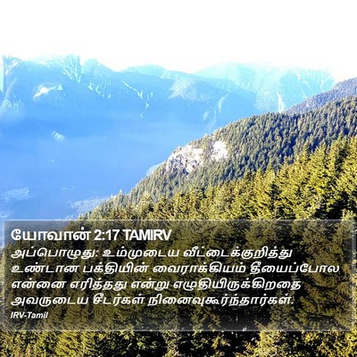 யோவான் 2:17 TAMIRV Bible Verse Image