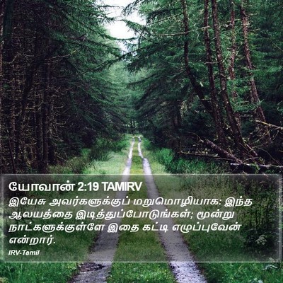 யோவான் 2:19 TAMIRV Bible Verse Image