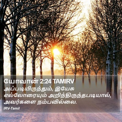 யோவான் 2:24 TAMIRV Bible Verse Image