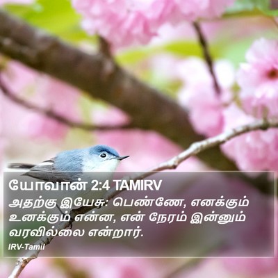 யோவான் 2:4 TAMIRV Bible Verse Image