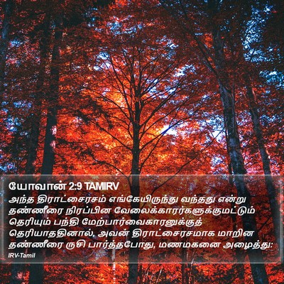 யோவான் 2:9 TAMIRV Bible Verse Image