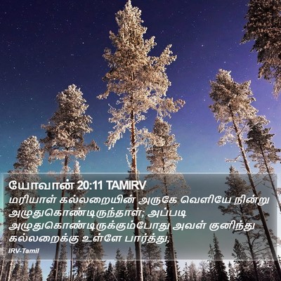 யோவான் 20:11 TAMIRV Bible Verse Image