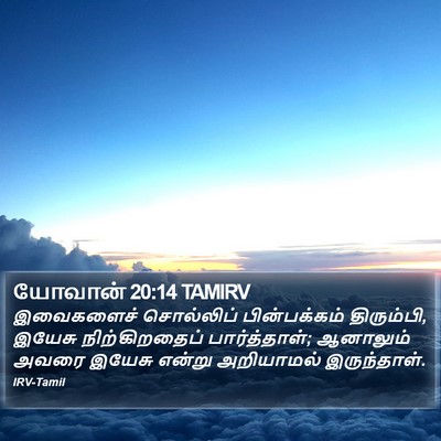 யோவான் 20:14 TAMIRV Bible Verse Image