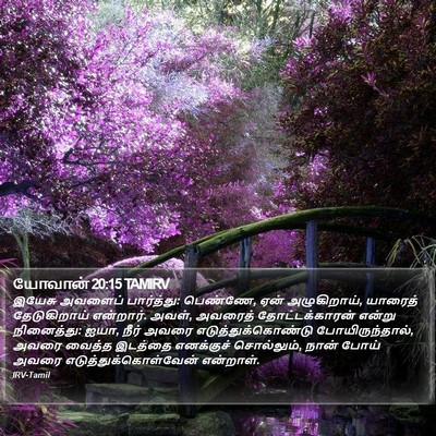 யோவான் 20:15 TAMIRV Bible Verse Image