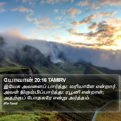 யோவான் 20:16 TAMIRV Bible Verse Image