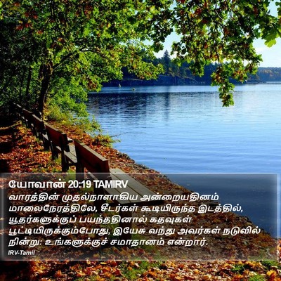 யோவான் 20:19 TAMIRV Bible Verse Image