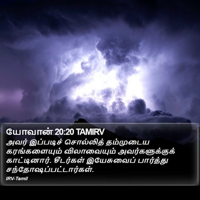 யோவான் 20:20 TAMIRV Bible Verse Image
