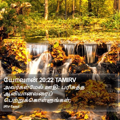யோவான் 20:22 TAMIRV Bible Verse Image