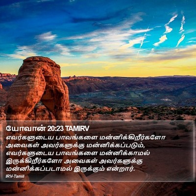 யோவான் 20:23 TAMIRV Bible Verse Image