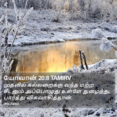 யோவான் 20:8 TAMIRV Bible Verse Image