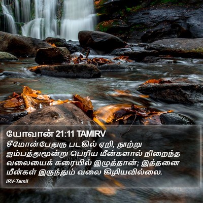 யோவான் 21:11 TAMIRV Bible Verse Image