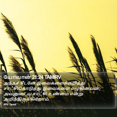 யோவான் 21:24 TAMIRV Bible Verse Image