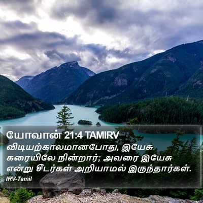 யோவான் 21:4 TAMIRV Bible Verse Image
