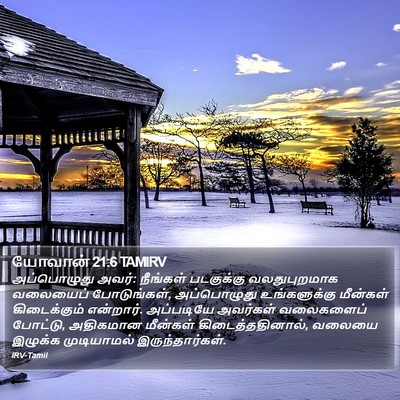 யோவான் 21:6 TAMIRV Bible Verse Image