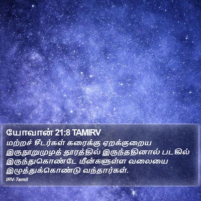 யோவான் 21:8 TAMIRV Bible Verse Image