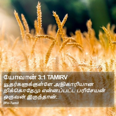 யோவான் 3:1 TAMIRV Bible Verse Image