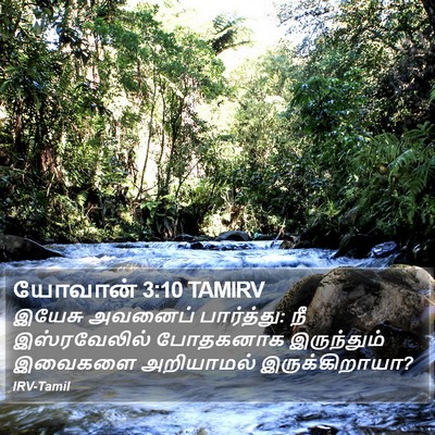 யோவான் 3:10 TAMIRV Bible Verse Image