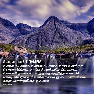 யோவான் 3:11 TAMIRV Bible Verse Image