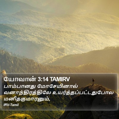 யோவான் 3:14 TAMIRV Bible Verse Image