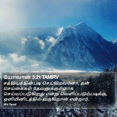 யோவான் 3:21 TAMIRV Bible Verse Image