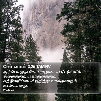 யோவான் 3:25 TAMIRV Bible Verse Image