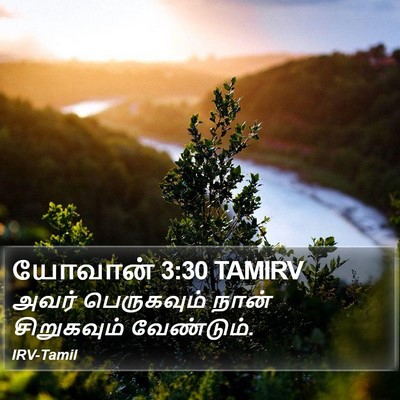 யோவான் 3:30 TAMIRV Bible Verse Image