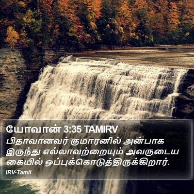 யோவான் 3:35 TAMIRV Bible Verse Image