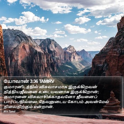 யோவான் 3:36 TAMIRV Bible Verse Image