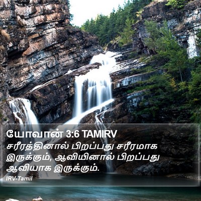 யோவான் 3:6 TAMIRV Bible Verse Image