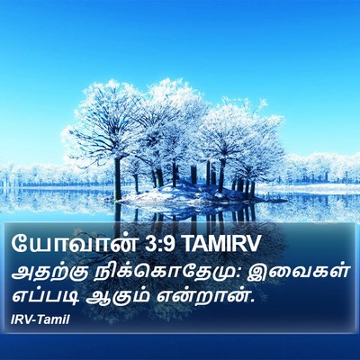 யோவான் 3:9 TAMIRV Bible Verse Image