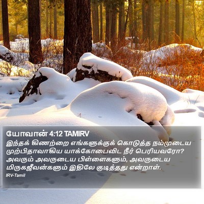 யோவான் 4:12 TAMIRV Bible Verse Image