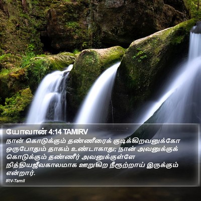 யோவான் 4:14 TAMIRV Bible Verse Image