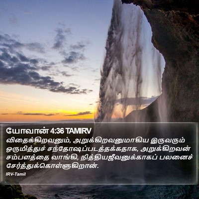 யோவான் 4:36 TAMIRV Bible Verse Image