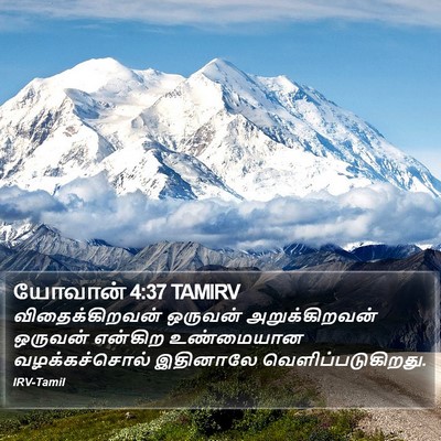 யோவான் 4:37 TAMIRV Bible Verse Image