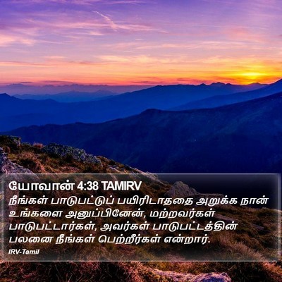 யோவான் 4:38 TAMIRV Bible Verse Image