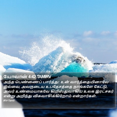 யோவான் 4:42 TAMIRV Bible Verse Image